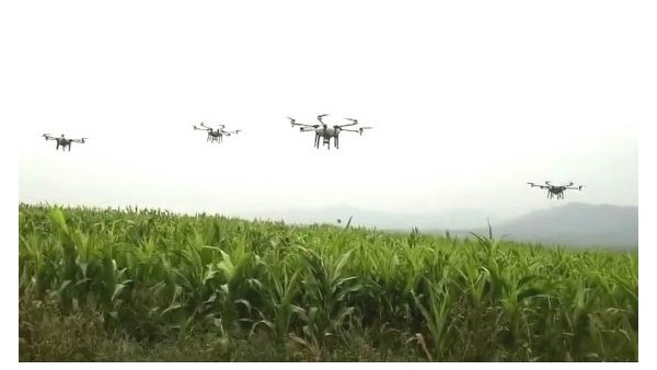 草莓视频苹果下载草莓视频APP污下载在农药领域发展