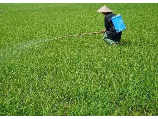 纳米研磨草莓视频色视频农药新剂型产品